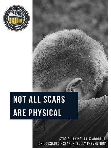 Anti-bully poster